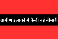 scrub typhus infection patients singrauli mp news