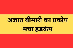 अज्ञात बीमारी का प्रकोप….. दो दर्जन से अधिक मौतें दर्ज, मचा हड़कंप - image