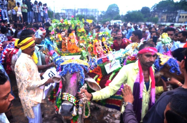 राजधानी में बैल दौड़ का रोमांच देखते लोग। 