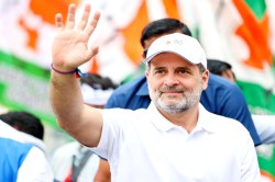 Stray Dogs पर सुप्रीम कोर्ट के आदेश से राहुल गांधी खुश, गिनाए ये फायदे - image