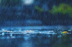 Kal Ka Mausam: आधे बिहार को लेकर मौसम विभाग का अलर्ट जारी, बारिश और ठनका को लेकर
पढ़िए क्या है ताजा अपडेट - image