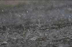 20-26 अगस्त तक होगी भारी बारिश, मौसम विभाग ने इन राज्यों के लिए जारी किया अलर्ट - image