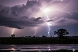 Heavy Rain Alert: हरियाणा में भारी बारिश का रेड अलर्ट, अधिकारियों व कर्मचारियों
की छुट्टियां रद्द; 5 जिलों में स्कूल की छुट्टियां - image