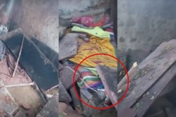 Rajasthan Heavy Rain: भरतपुर में भरभराकर गिरा मकान, बुजुर्ग दंपती की मौत; 3 से 6
अगस्त तक यहां भारी बारिश - image