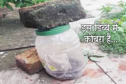 डिब्बे में सांप को बंद कर अस्पताल लेकर पहुंचा युवक… - image