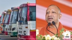 UP Roadways: रक्षाबंधन पर योगी सरकार का बड़ा तोहफा! तीन दिन तक बहनों के लिए यूपी
रोडवेज में मुफ्त सफर, देखें पूरी डिटेल - image