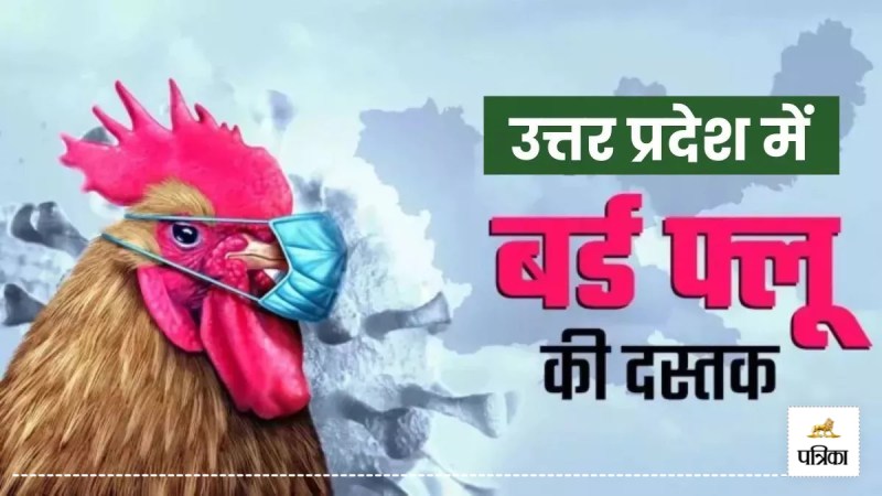 rampur bird flu outbreak 15000 chickens dead alert section 144