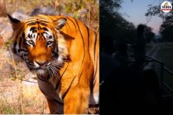 रणथम्भौर: जंगल में फंसा कैंटर, अंधेरा होने पर घबराई महिलाएं… रोने लगे बच्चे - image