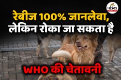 घाव धोने से खत्म हो जाता है Rabies का खतरा? जानिए WHO की गाइडलाइन - image