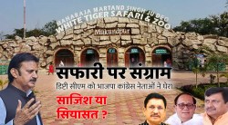 वाइट टाइगर सफारी को मैहर से रीवा जिले में शामिल कराने की कवायद पर संग्राम - image