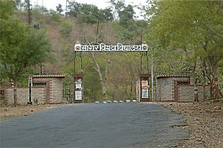MP की पहली यूनिवर्सिटी ‘दागदार’, 82 पदों पर 157 सहायक प्रोफेसरों की अवैध
नियुक्ति - image