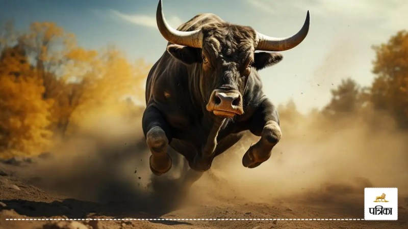 sambhal chehallum procession bull attack 12 injured police fled