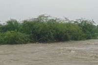 sawai madhopur weather