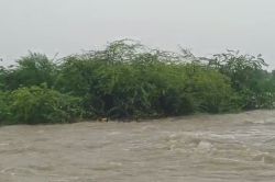 सवाईमाधोपुर में सूरवाल बांध के तेज बहाव में पलटी नाव, 9 लोगों को किया रेस्क्यू - image