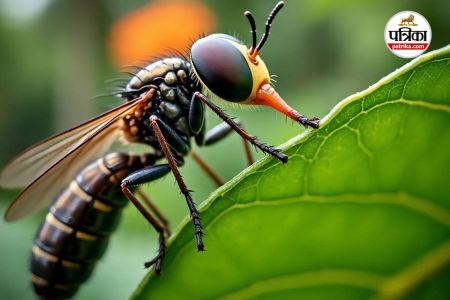 Screwworms, Screwworms news, Screwworm treatment,