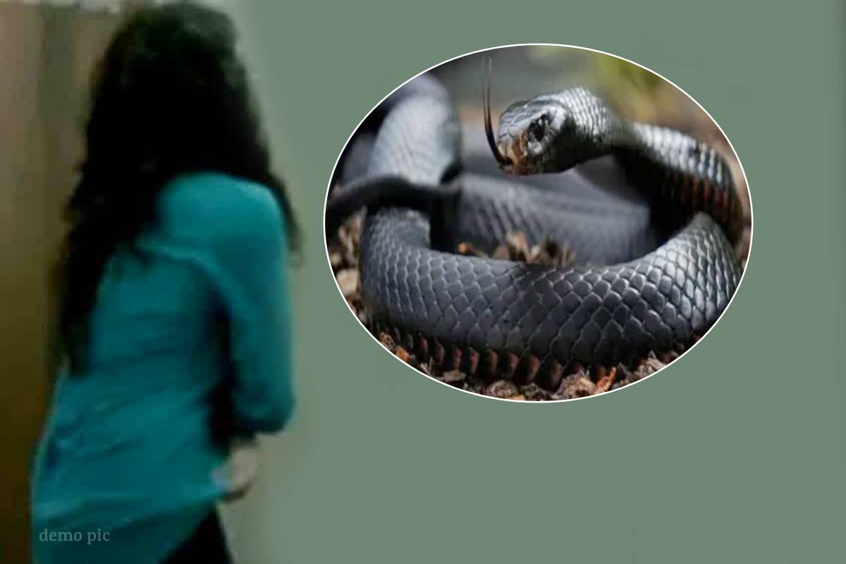 घर में कपड़े बदलते वक्त लड़की को सांप ने काटा, मौत