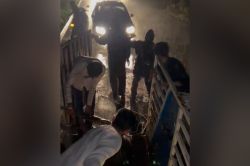 Sirohi Hit & Run:: गाय का रेस्क्यू कर रहे गौ सेवकों पर चढ़ाई कार, तीन घायल,
सामने आया Video - image