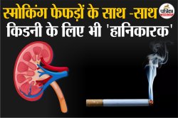 Smoking For Kidney: स्मोकिंग कर रही आपकी किडनी को Slow Poison की तरह बर्बाद,
जानिए बचाव के तरीके - image