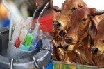 sorted semen lab
