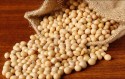 Brazil Overtakes US, Becomes China's Top Soybean Supplier, Leaving American
Farmers Uneasy