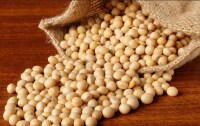 एमपी में फिर बढ़ा भावांतर योजना में सोयाबीन का रेट