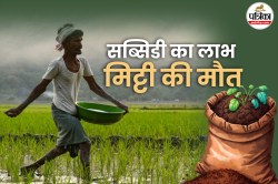प्राकृतिक खेती बनाम यूरिया विस्फोट, किसानों की ज़मीन पर असंतुलन की उर्वर कहानी - image