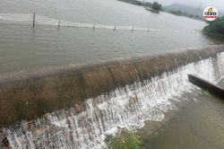 सावन में मानसून जमकर मेहरबान, दौसा में पिछली साल से 30 फीसदी अधिक बारिश, एक और
बांध पर चली चादर - image