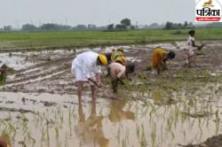 Bihar Assembly Election 2025: तेज प्रताप का दिखा नया अंदाज, धान की रोपनी करते
नजर आए लालू के लाल - image
