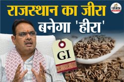 Rajasthan News : किसानों की बल्ले-बल्ले, थार जीरे को मिलेगी वैश्विक पहचान, जीआइ
टैग आवेदन स्वीकार - image