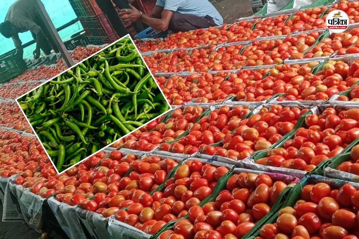 Jaipur Vegetable Prices Hike Tomatoes got Angry due to inflation chillies affected pocket