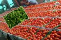 Jaipur Vegetable Prices Soar, Tomatoes and Chillies Pinch Consumers' Pockets