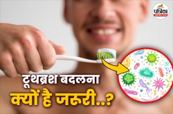 Oral Hygiene: गंदा टूथब्रश, गंदा मुंह! साफ-सफाई में लापरवाही से बढ़ता है
इंफेक्शन - image