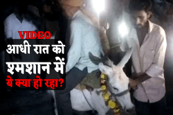 आधी रात को गधे पर उल्टा बैठकर श्मशान के चक्कर काट रहा था शख्स, चौंका देगी वजह - image