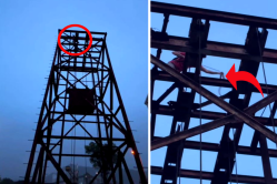 250 फीट ऊंचे टावर से सांप का रेस्क्यू, चिड़िया का शिकार करने चढ़ा और फंस गया - image