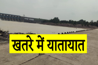 10 bridges worth crores destroyed in MP