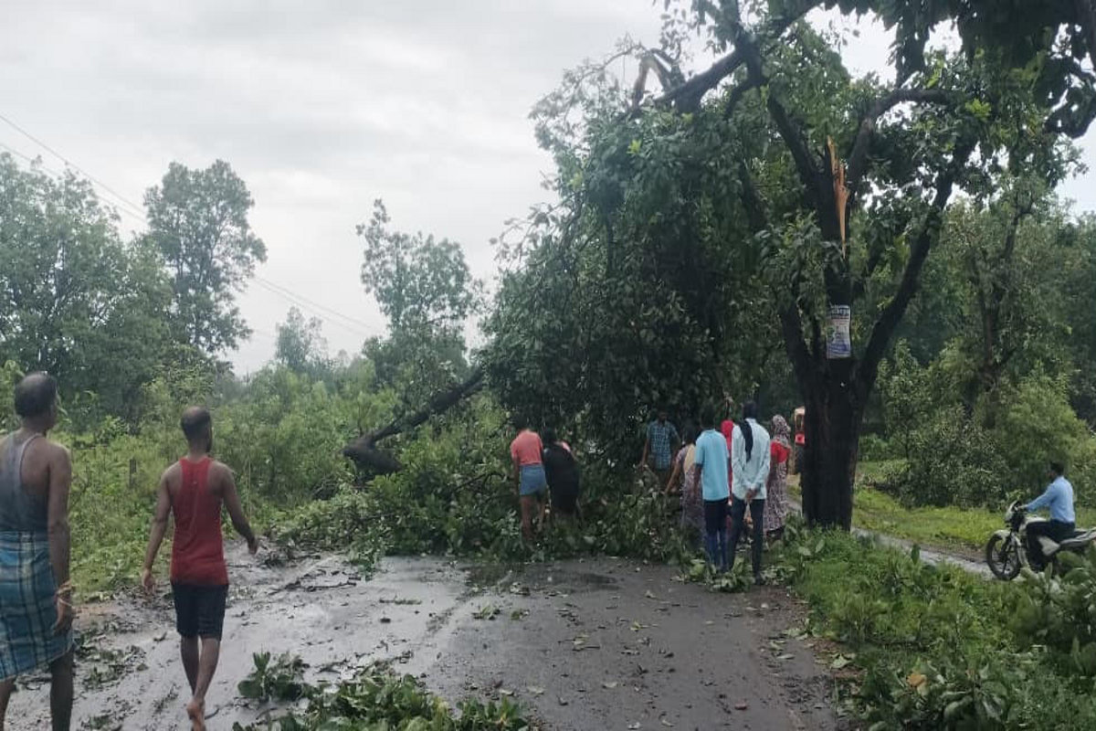 Heavy rain and storm: तेज हवाओं के साथ हुई भारी बारिश ने मचाई तबाही, कई पेड़
धराशायी, उड़ गए छप्पर
