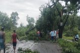 Heavy rain and storm