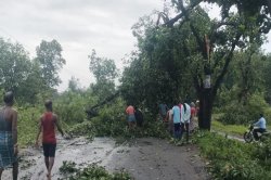 Heavy rain and storm: तेज हवाओं के साथ हुई भारी बारिश ने मचाई तबाही, कई पेड़
धराशायी, उड़ गए छप्पर - image