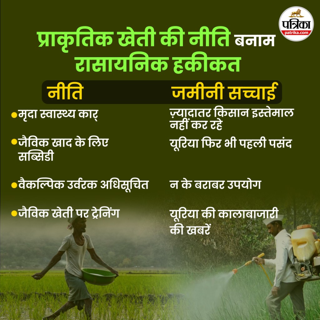Natural Farming vs Urea Explosion