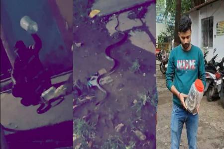 vidisha snake
