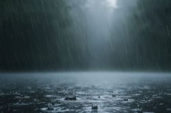 Weather Forecast: अगले 7 दिनों तक भारी से अति भारी बारिश, मौसम विभाग का इन शहरों
में अलर्ट - image