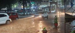 rainfall alert : उमस कर रही बेहाल, आज झमाझम के आसार - image