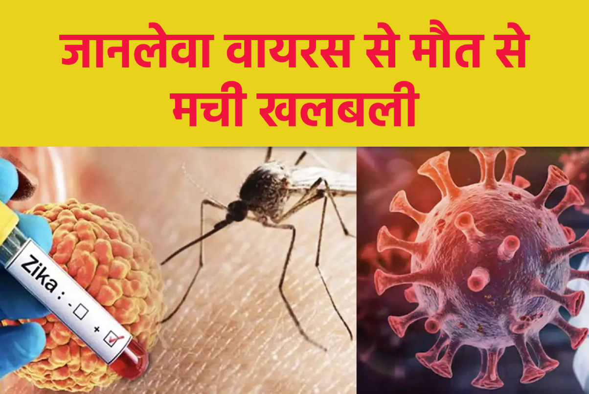 Alert in MP due to death of child in Dindori due to dangerous virus