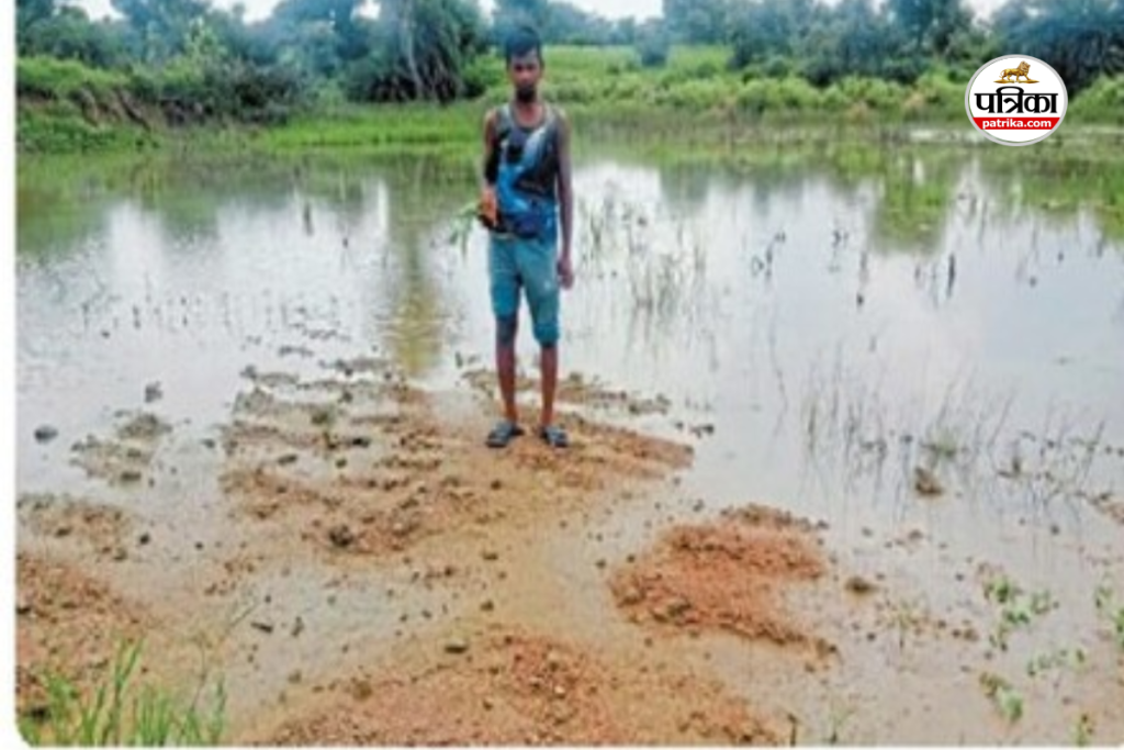 बर्बाद हुई फसल 