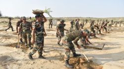 मोहनगढ़: 2 करोड़ से अधिक पौधों से बदली रेगिस्तान की तस्वीर - image