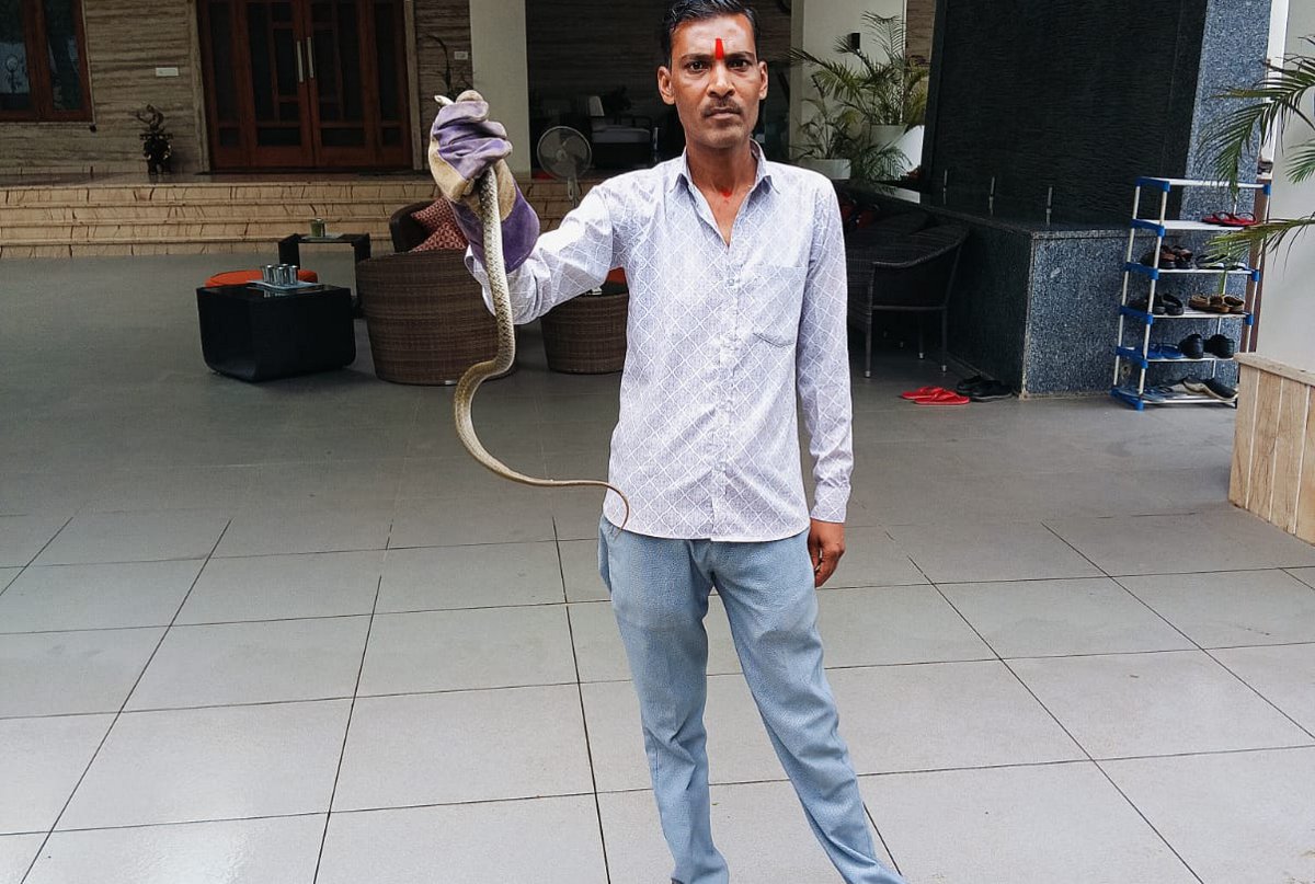 स्नेक कैचर ने पकड़ा वाटर स्नेक प्रजाति का सांप