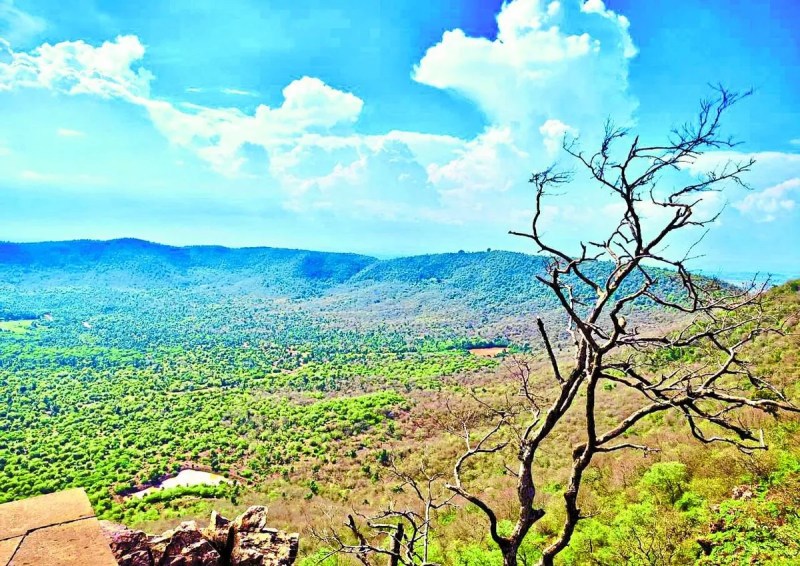 जिले में शाहाबाद घाटी, सोरसन अभयारण्य व पक्षी विहार, शेरगढ़ अभयारण्य होने के बाद भी यहां पर आने वाले पर्यटकों की संख्या नगण्य ही है। जबकि व्यापक प्रचार-प्रसार किया जाए तो रामगढ़ क्रेटर जिले को अंतरराष्ट्रीय पहचान दिला सकता है।