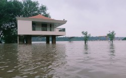 अरवल्ली: धनसुरा में दो घंटे में साढ़े चार इंच बरसा पानी - image