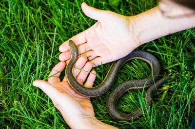 Short video poster image