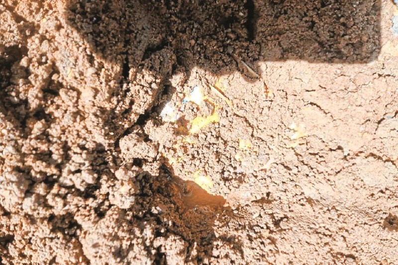 10 किलो टिफिन बम व आईईडी बरामद (Photo source- Patrika)